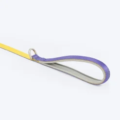HUFT Dichromatic Leash For Dog - Yellow & Purple