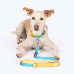 HUFT Dichromatic Leash For Dog - Turquoise & Yellow