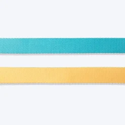 HUFT Dichromatic Leash For Dog - Turquoise & Yellow