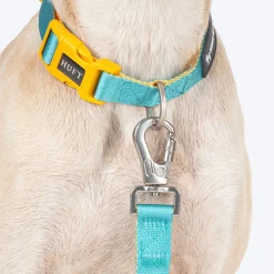 HUFT Dichromatic Leash For Dog - Turquoise & Yellow