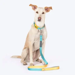 HUFT Dichromatic Leash For Dog - Turquoise & Yellow