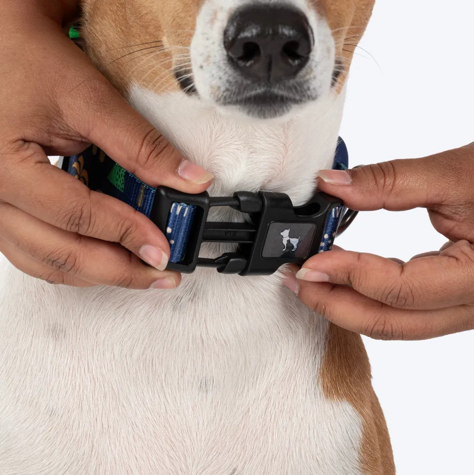 HUFT Dino Land Collar For Dog - Blue