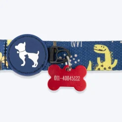 HUFT Dino Land Collar For Dog - Blue