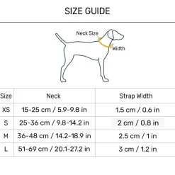 HUFT Dino Land Collar For Dog - Blue