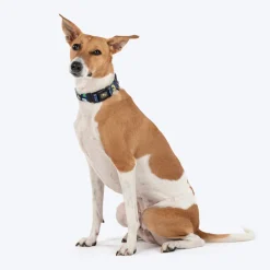 HUFT Dino Land Collar For Dog - Blue