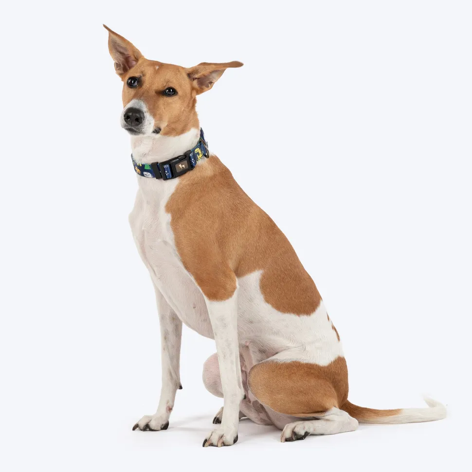 HUFT Dino Land Collar For Dog - Blue
