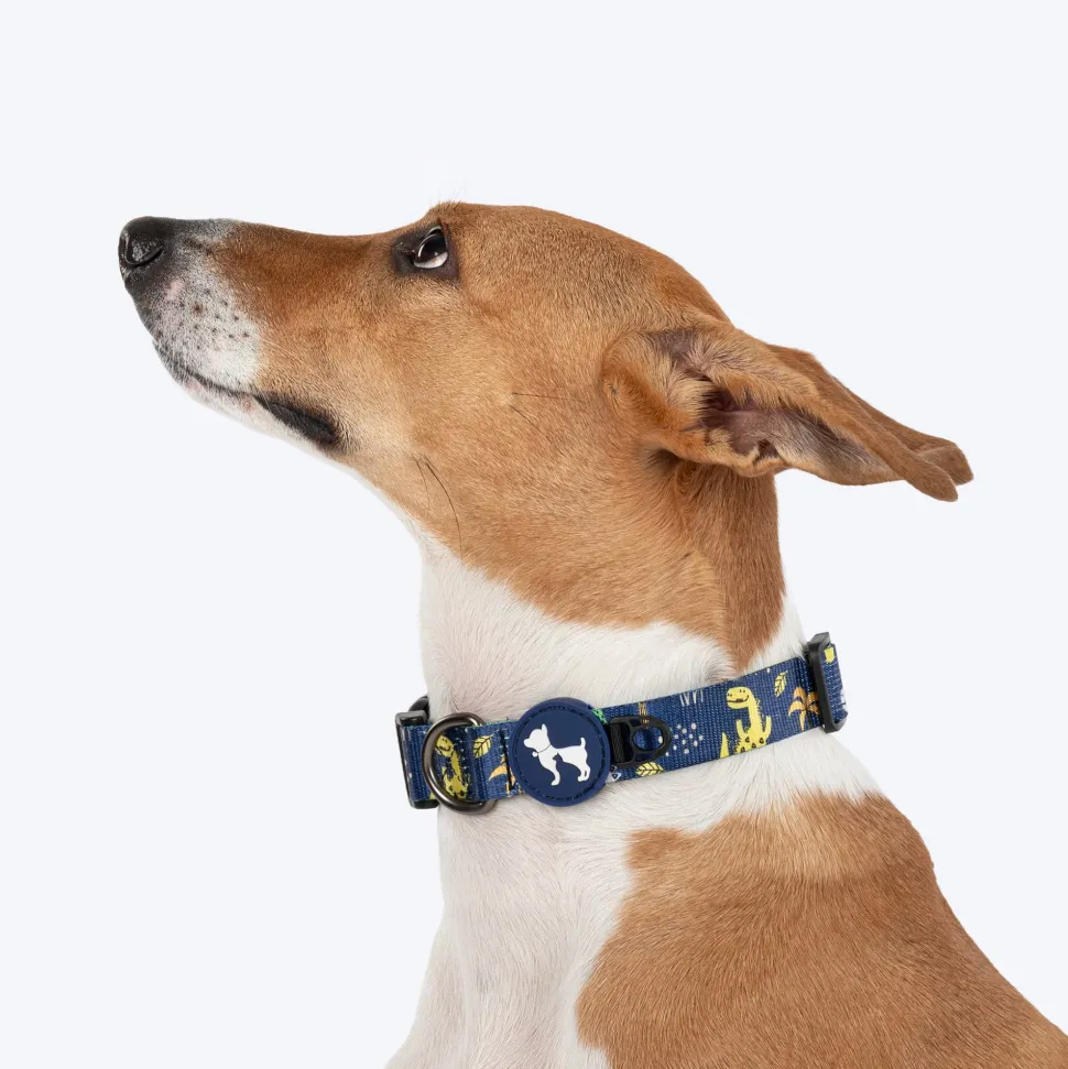 HUFT Dino Land Collar For Dog - Blue