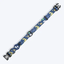 HUFT Dino Land Collar For Dog - Blue