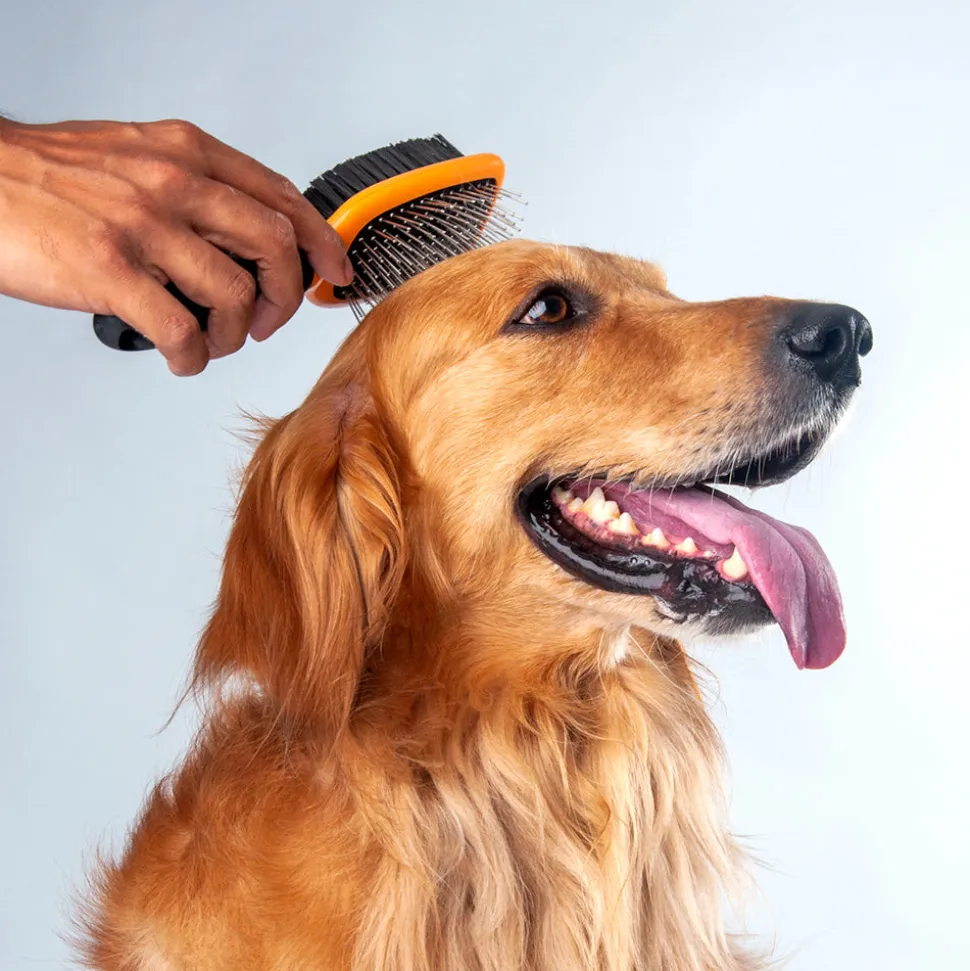 HUFT Double Sided Brush for Dogs & Cats - Orange