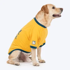 HUFT Drool Is Cool T-Shirt For Dog - Yellow