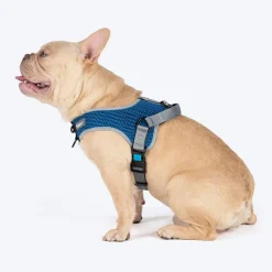 HUFT Easy Fit U-Harness For Dog - Blue