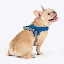 HUFT Easy Fit U-Harness For Dog - Blue