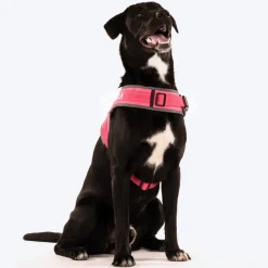 HUFT Easy On Dog Harness - Pink