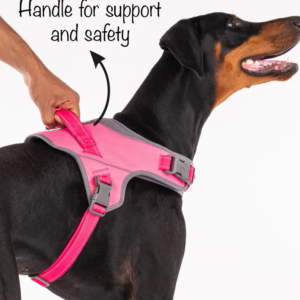 HUFT Easy On Dog Harness - Pink