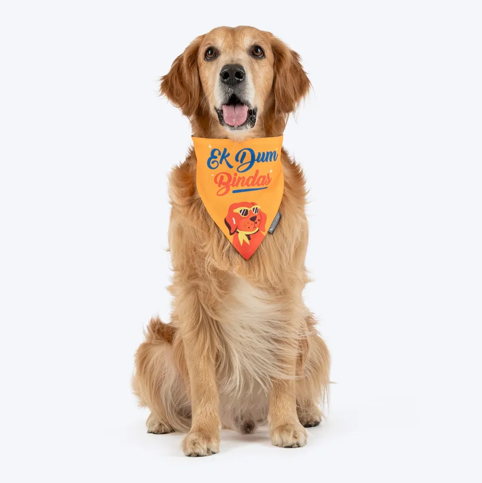 HUFT Ek Dum Bindas Bandana For Dog - Yellow