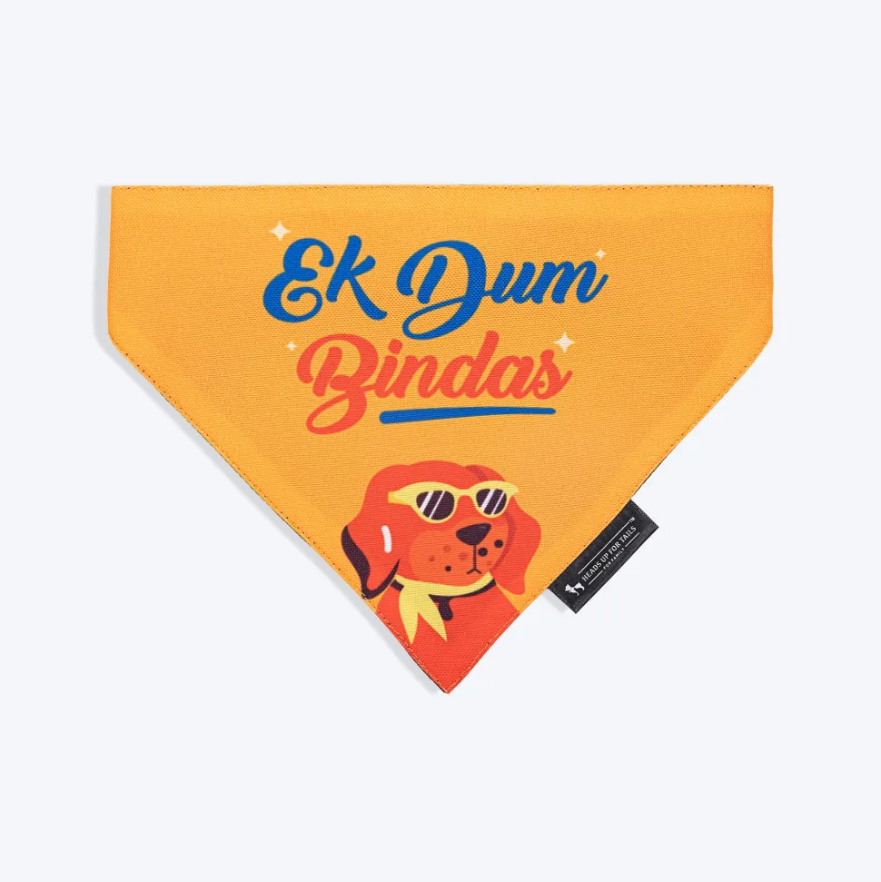 HUFT Ek Dum Bindas Bandana For Dog - Yellow