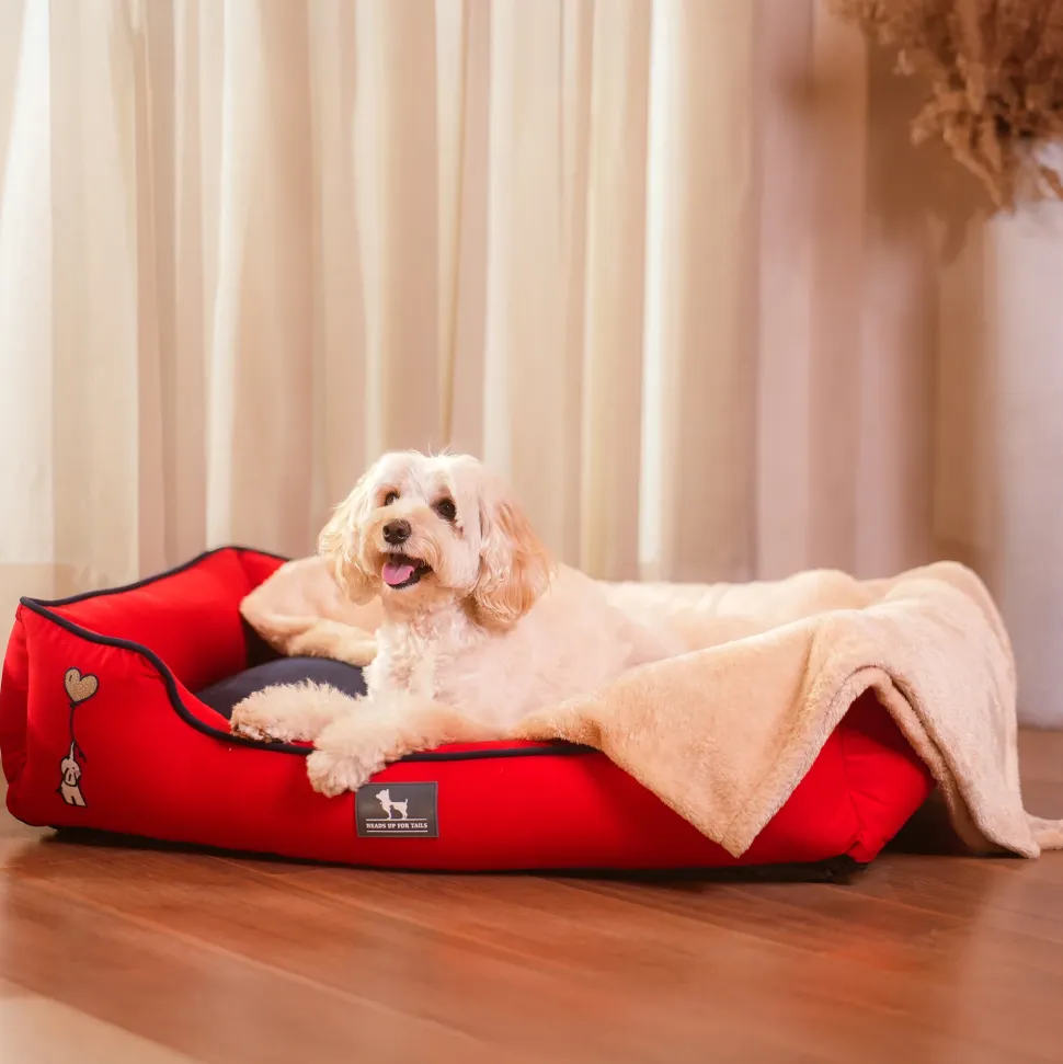 HUFT Ellie Classic Lounger Bed For Dog - Red & Navy