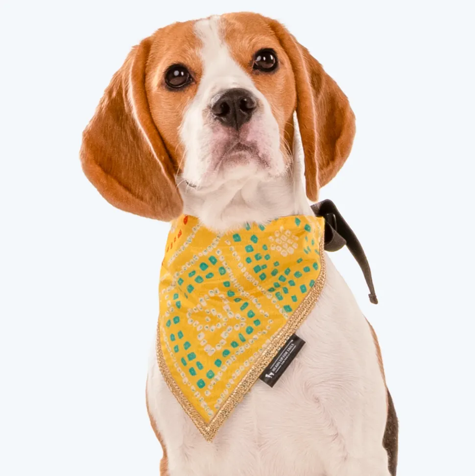 HUFT Festive Bandhej Bling Dog Bandana - Yellow