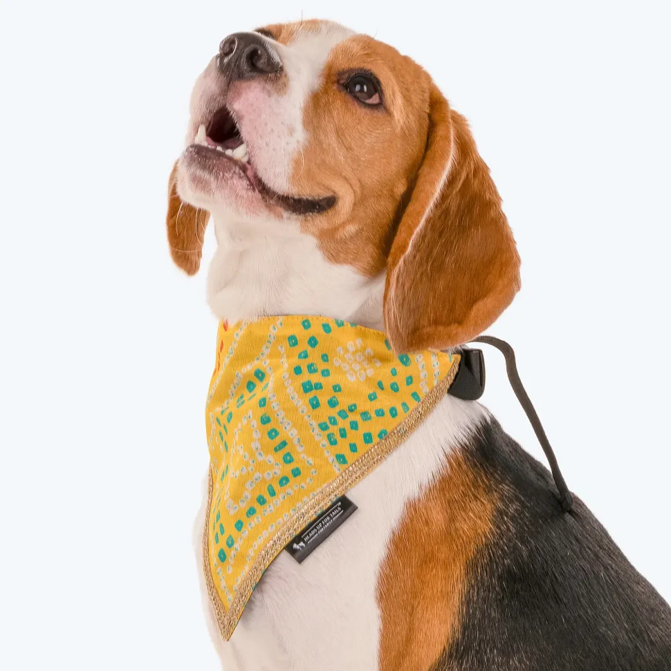 HUFT Festive Bandhej Bling Dog Bandana - Yellow