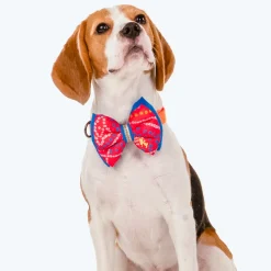 HUFT Festive Bandhej Bling Dog Bow Tie - Pink & Blue