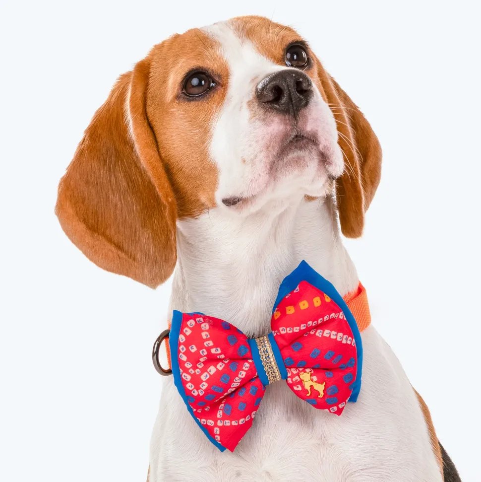 HUFT Festive Bandhej Bling Dog Bow Tie - Pink & Blue