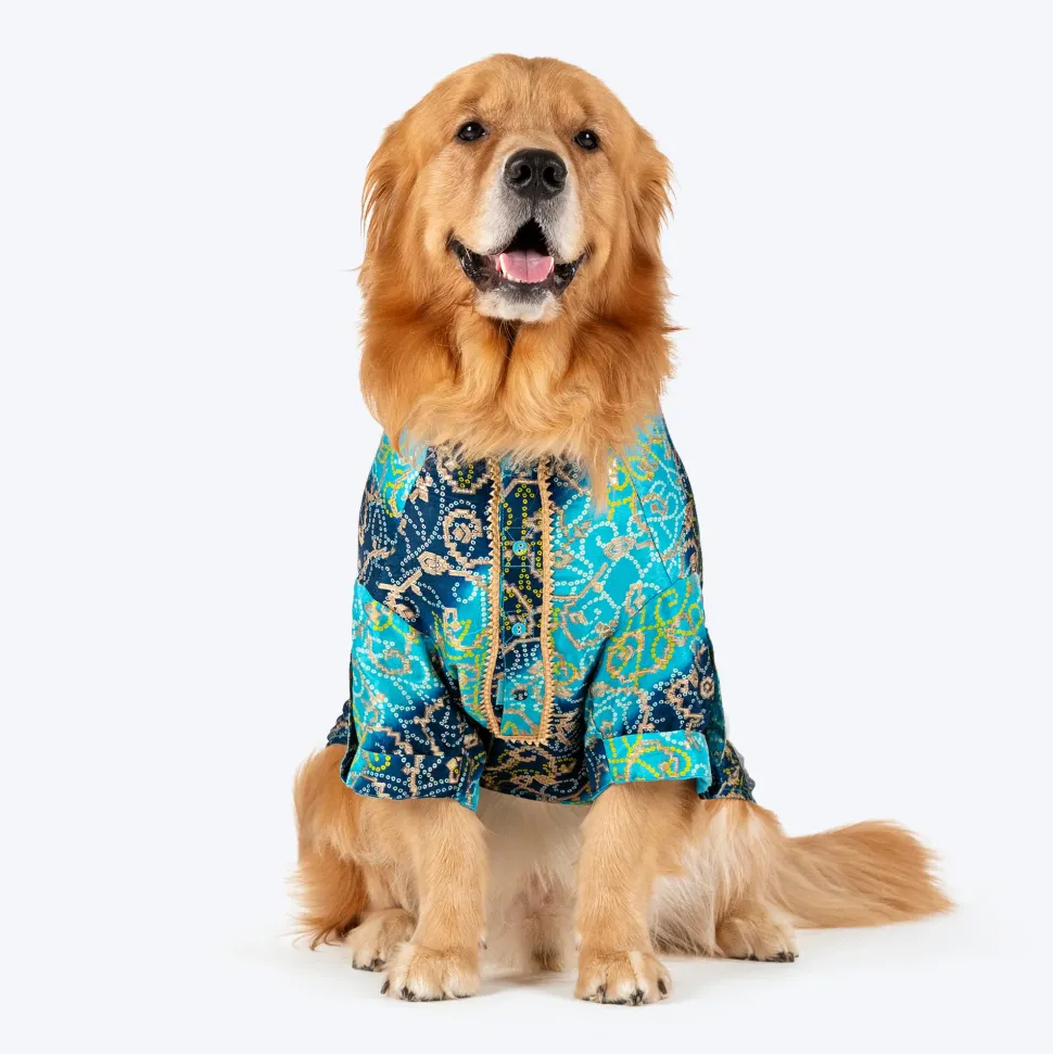 HUFT Festive Bliss Kurta For Dog - Blue
