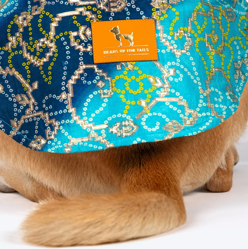 HUFT Festive Bliss Kurta For Dog - Blue