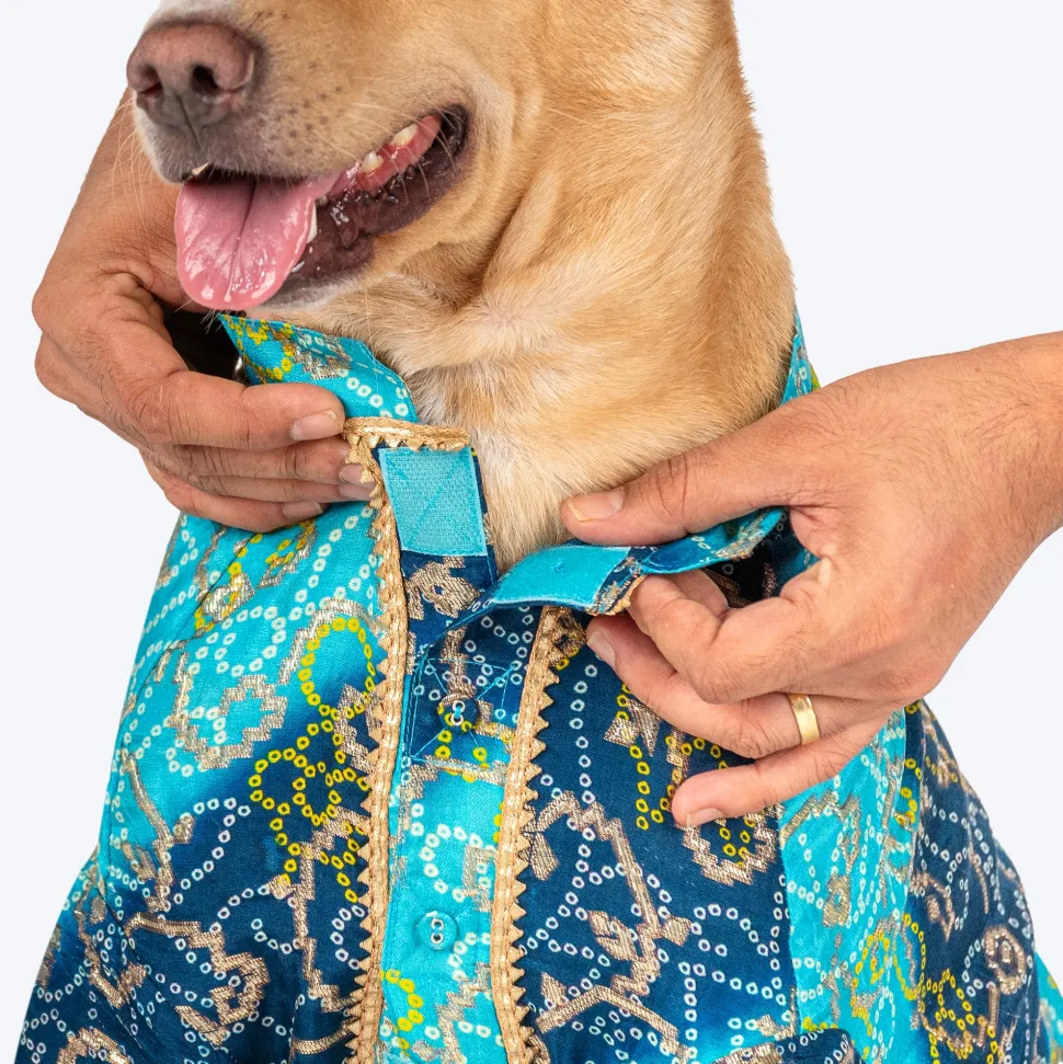 HUFT Festive Bliss Kurta For Dog - Blue