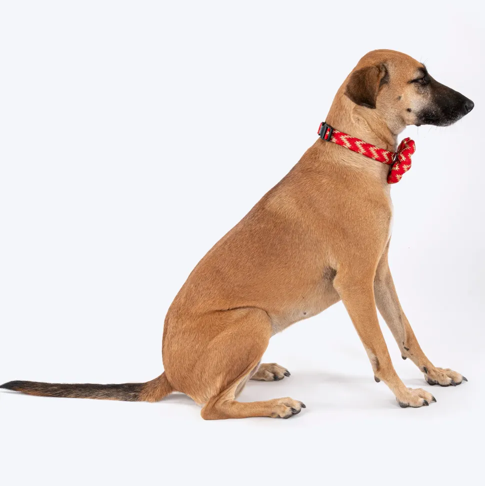 HUFT Festive Desi Glam Dog Bow Tie With Strap - Red