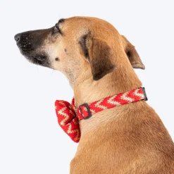 HUFT Festive Desi Glam Dog Bow Tie With Strap - Red