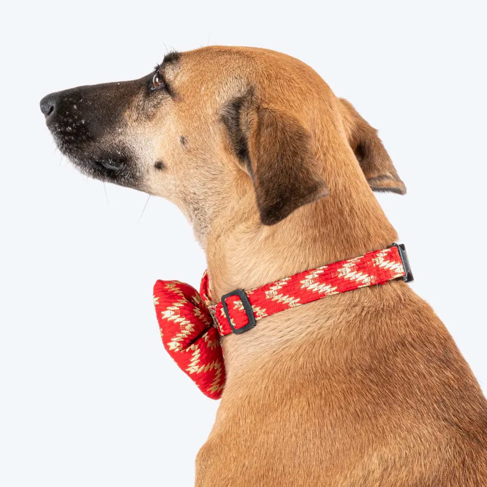 HUFT Festive Desi Glam Dog Bow Tie With Strap - Red