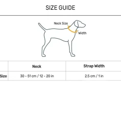 HUFT Foundation Reflective Dog Collar For Streeties - Pack Of 3