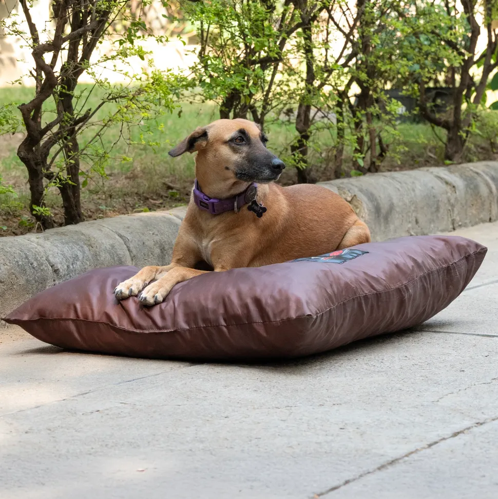 HUFT Foundation X SPACES Bed For Streeties - Brown