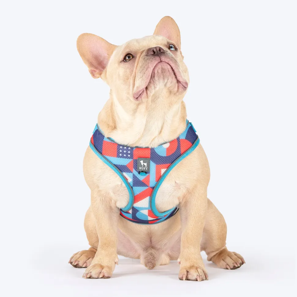 HUFT Free Flow Step-In Harness & Leash Set For Dog - Geomatrix Blue