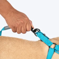 HUFT Free Flow Step-In Harness & Leash Set For Dog - Geomatrix Blue