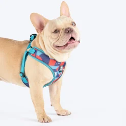 HUFT Free Flow Step-In Harness & Leash Set For Dog - Geomatrix Blue