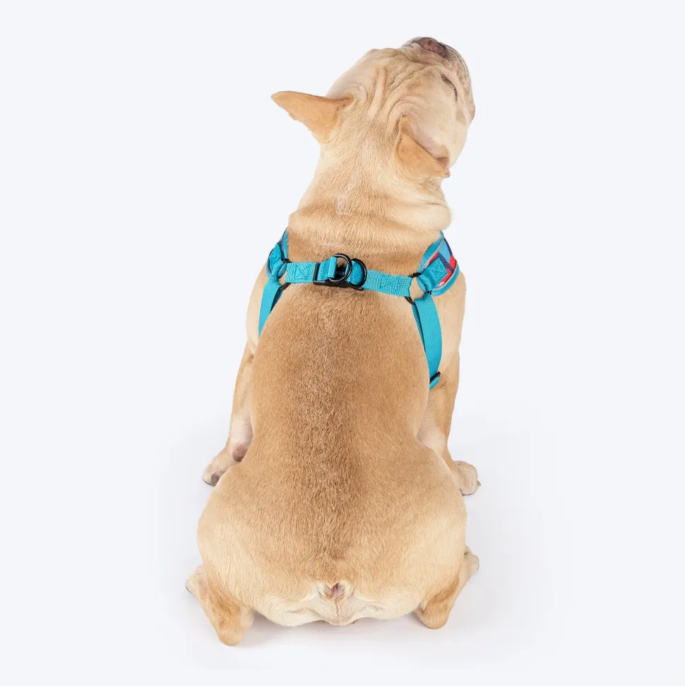 HUFT Free Flow Step-In Harness & Leash Set For Dog - Geomatrix Blue