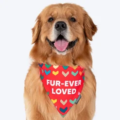 HUFT Fur-ever Loved Printed Dog Bandana - Red