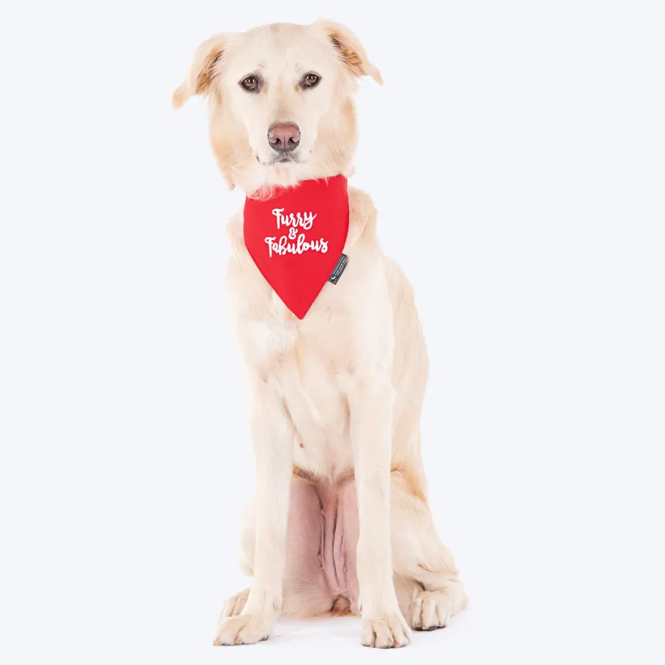 HUFT Furry and Fabulous Dog Bandana - Red