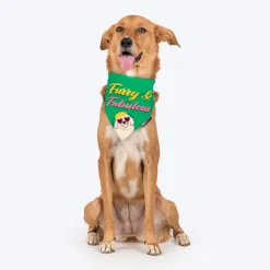 HUFT Furry & Fabulous Bandana For Dog - Green