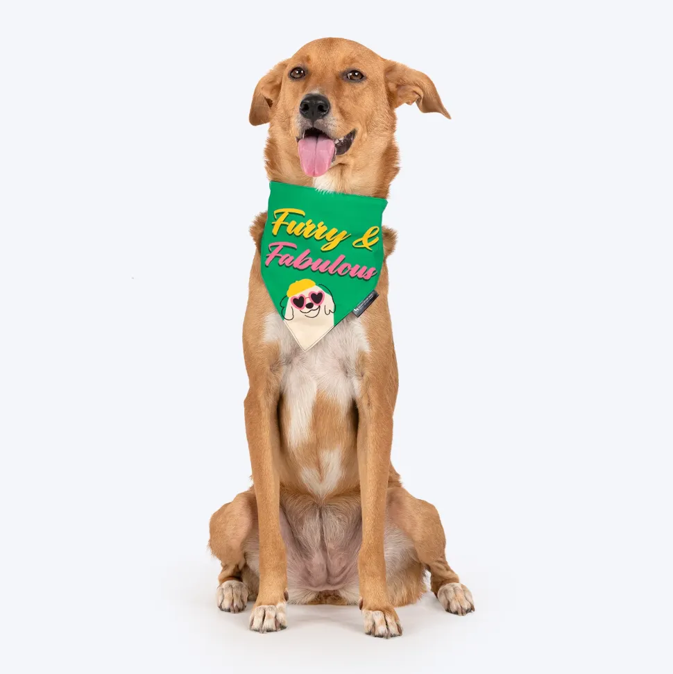 HUFT Furry & Fabulous Bandana For Dog - Green