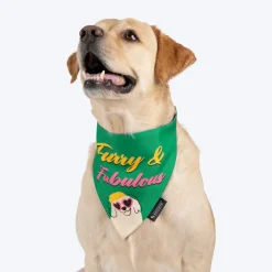HUFT Furry & Fabulous Bandana For Dog - Green