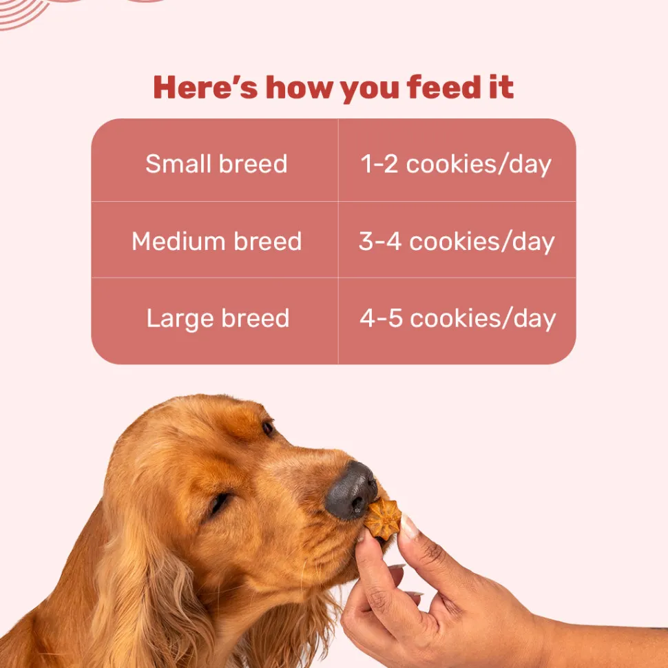 HUFT Goat Milk Dog Cookies - Apple - 200 g