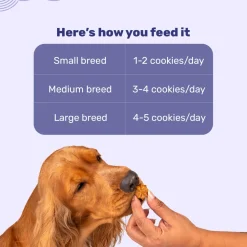 HUFT Goat Milk Dog Cookies - Blueberry - 200 g
