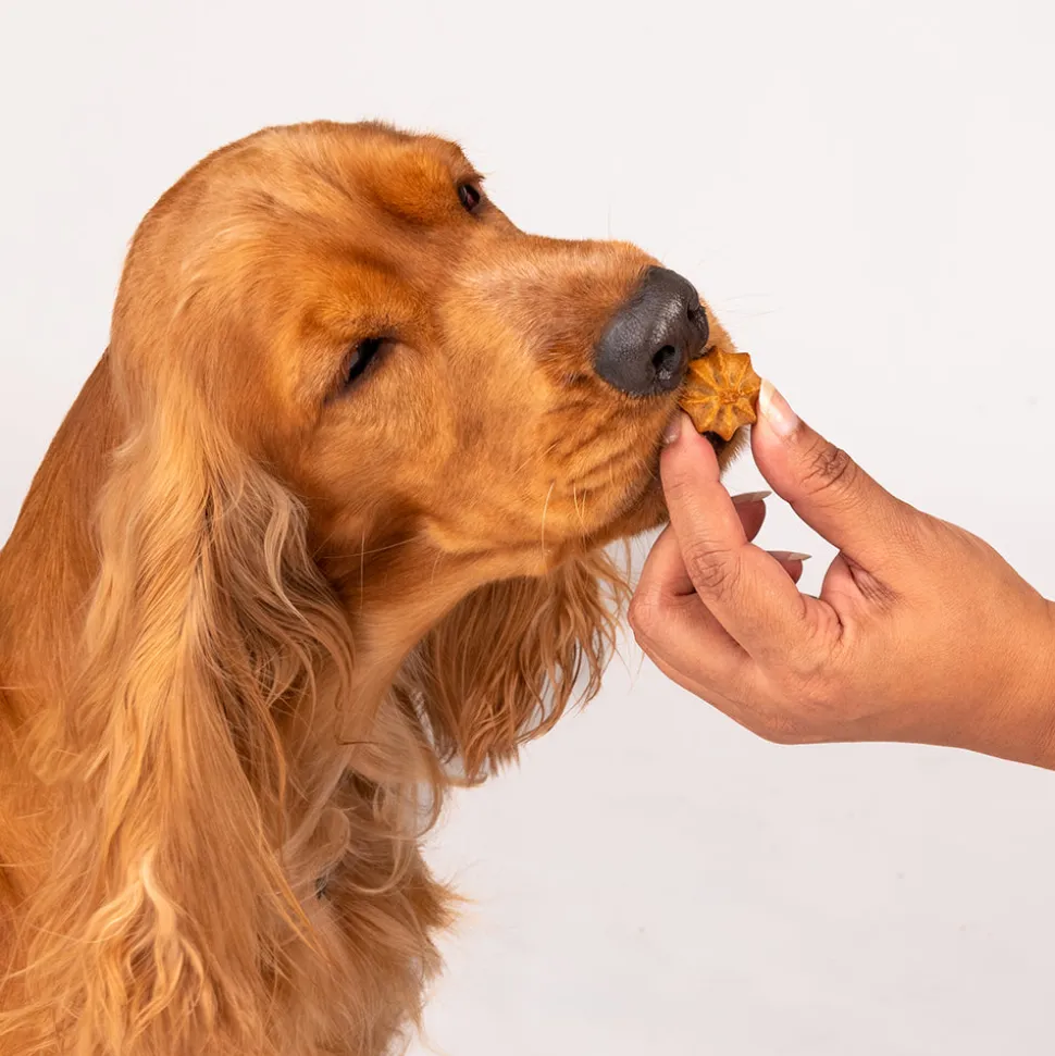 HUFT Goat Milk Dog Cookies - Blueberry - 200 g
