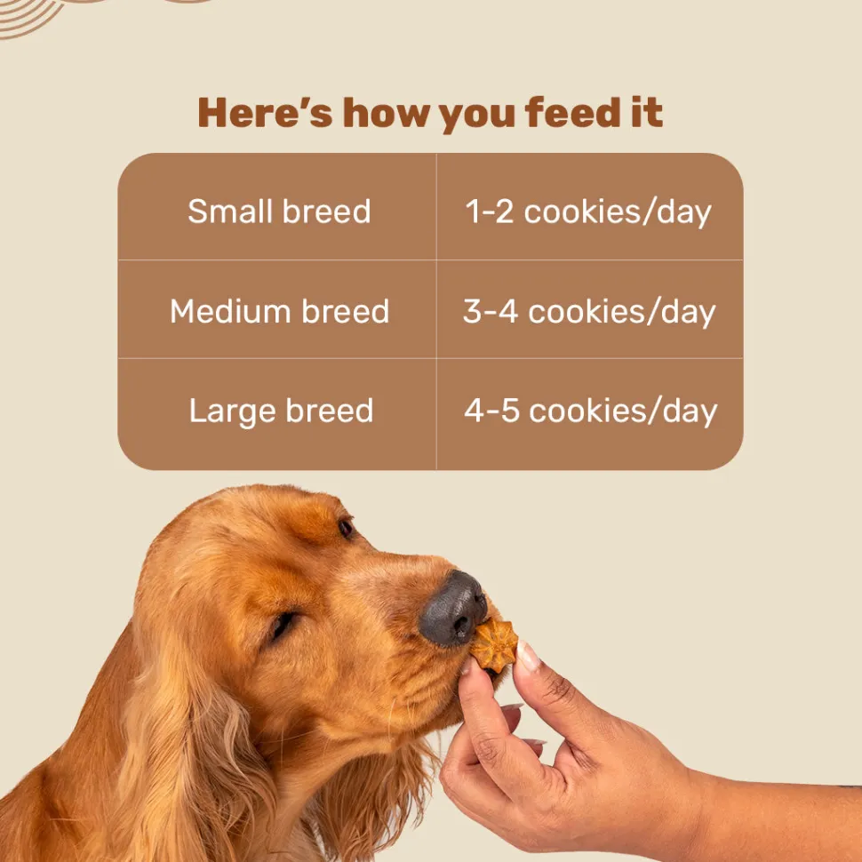 HUFT Goat Milk Dog Cookies - Grilled Chicken - 200 g