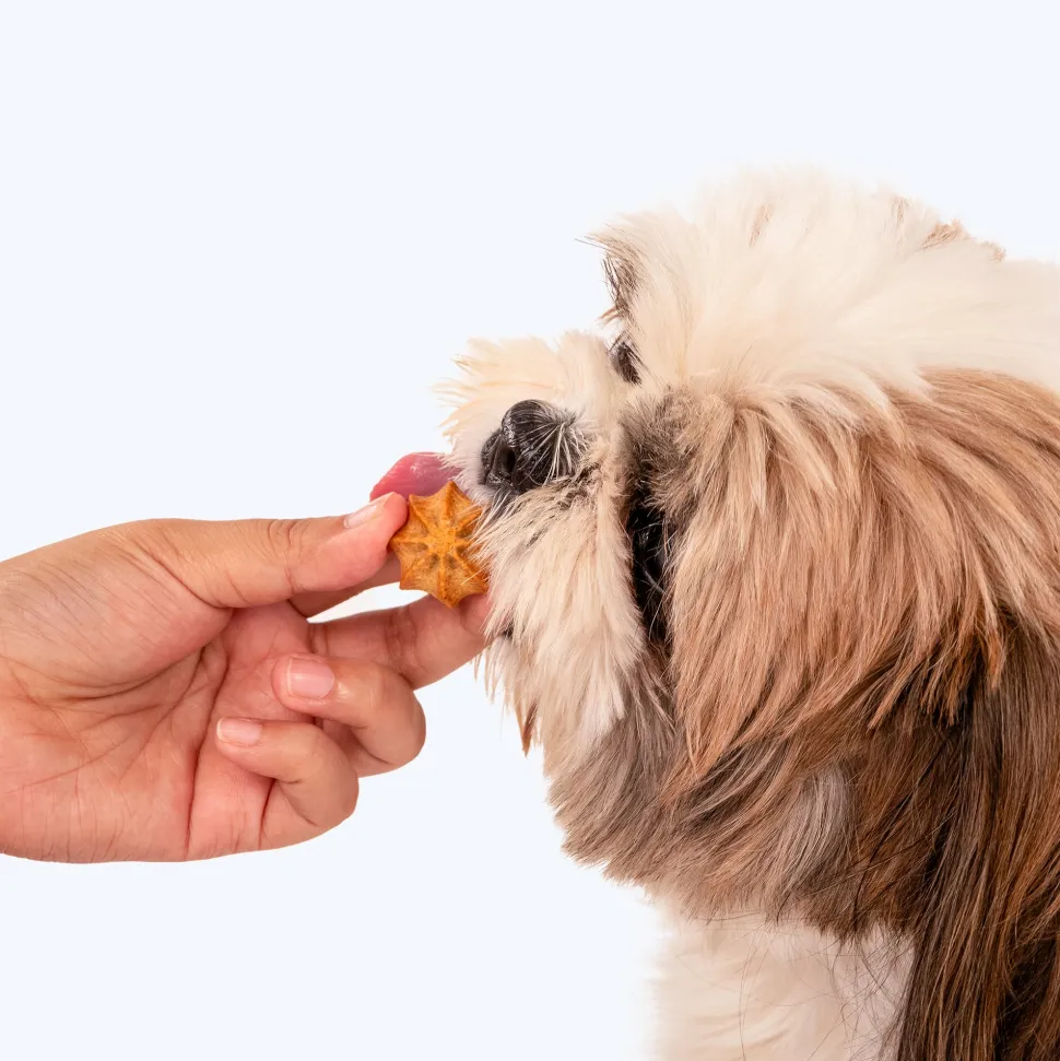 HUFT Goat Milk Dog Cookies - Grilled Chicken - 200 g