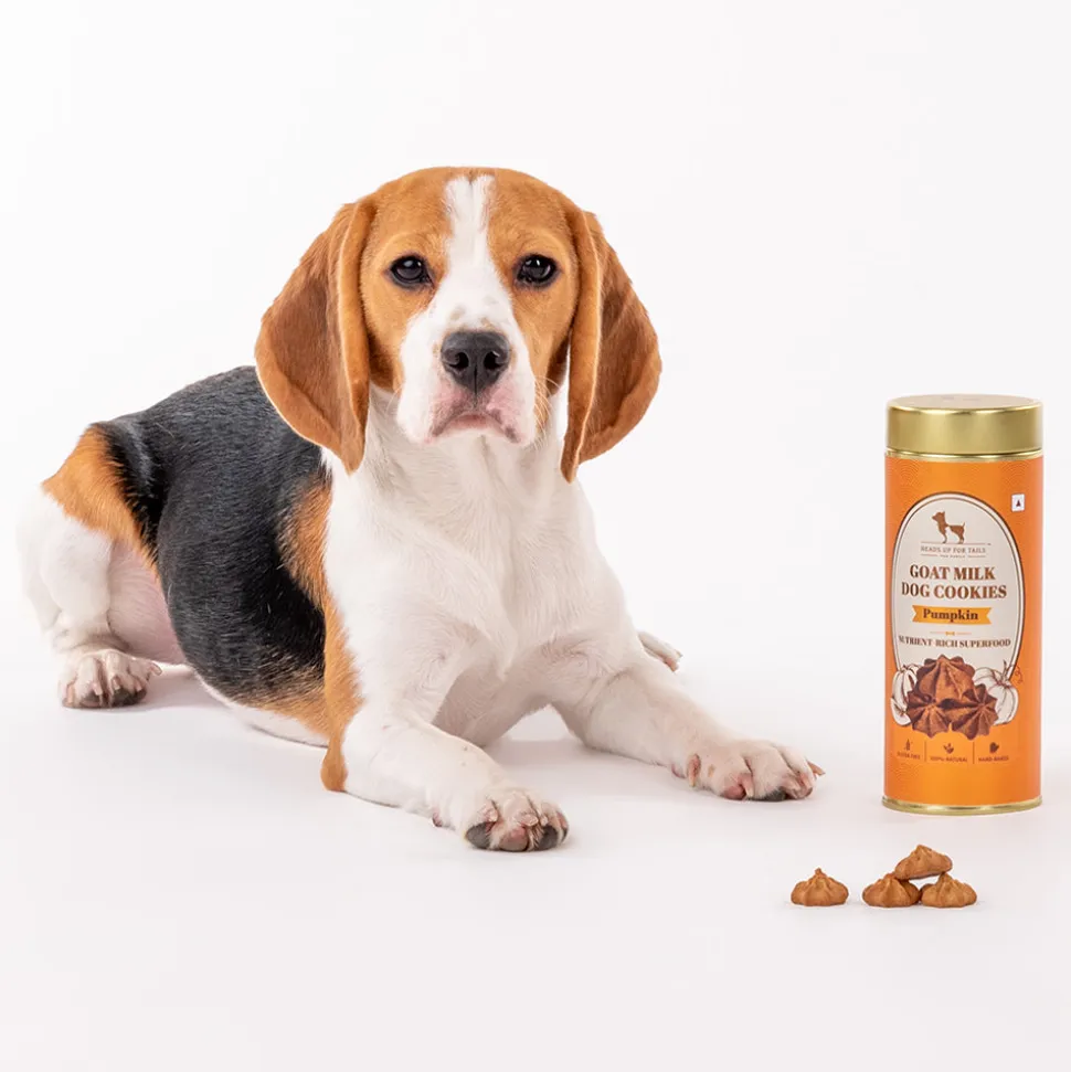 HUFT Goat Milk Dog Cookies - Pumpkin - 200 g