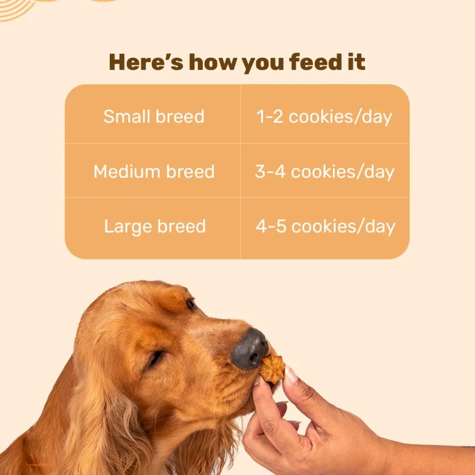 HUFT Goat Milk Dog Cookies - Pumpkin - 200 g