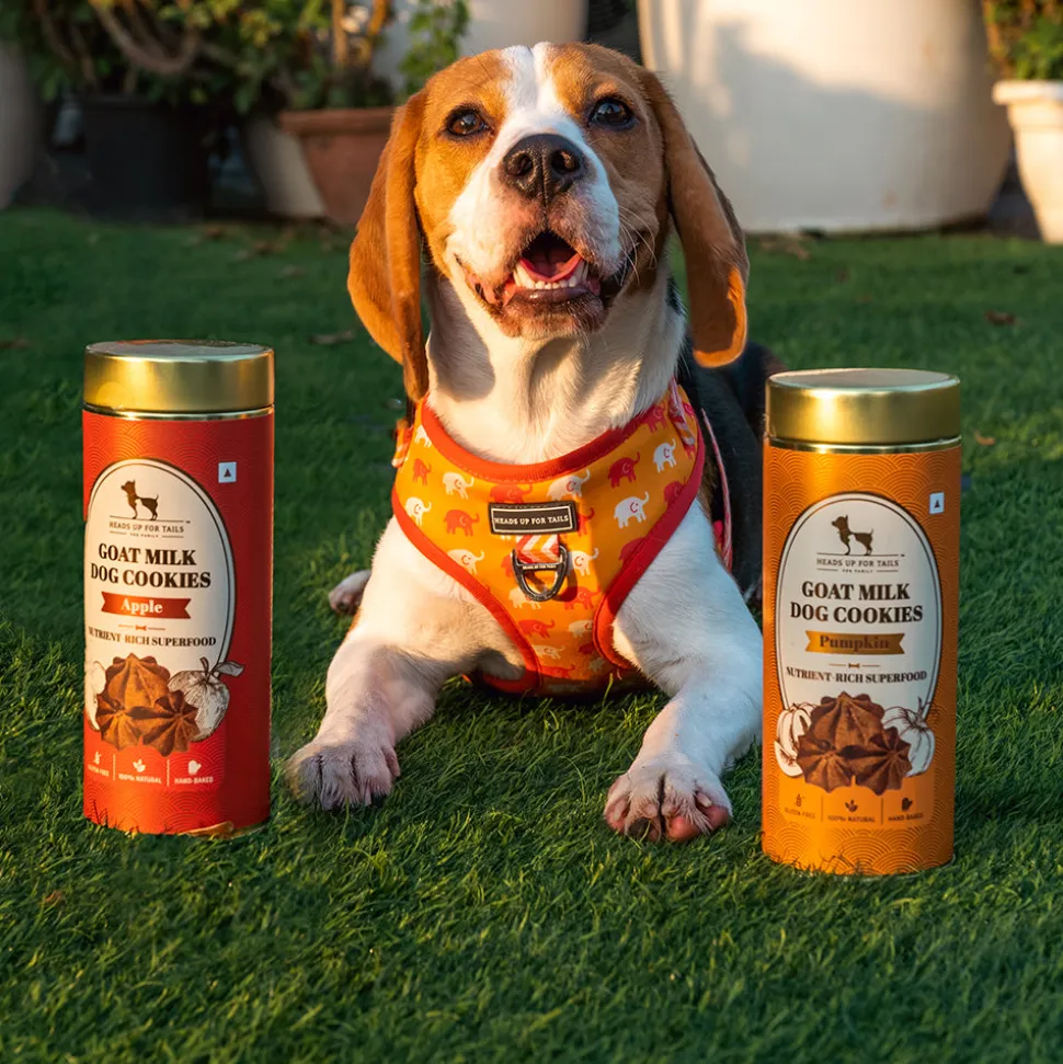 HUFT Goat Milk Gluten Free Dog Cookies - Pumpkin & Apple Combo - 200 Gm